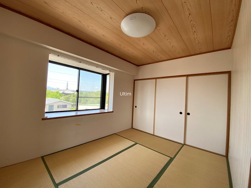 グレースダイン その他
