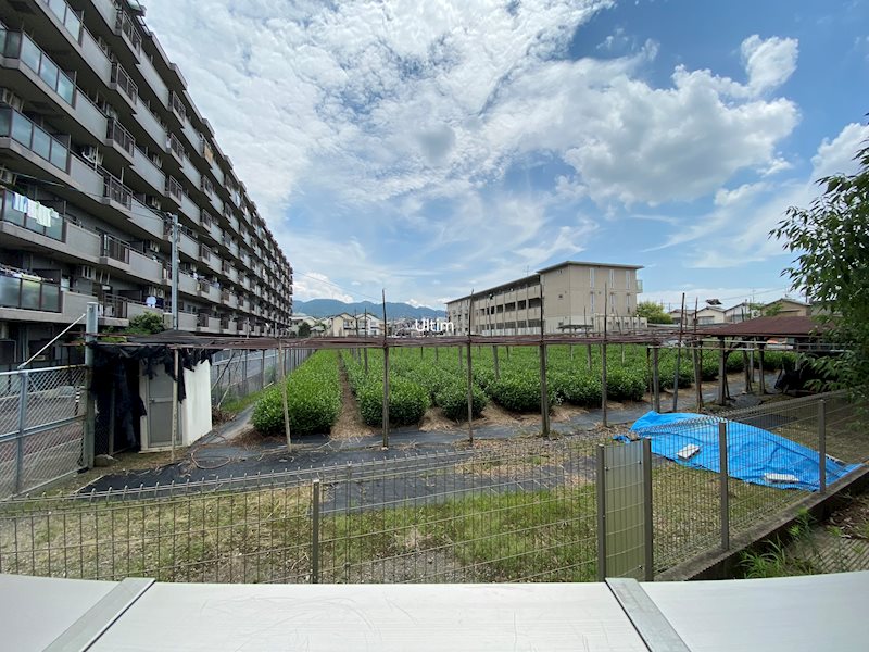 エーデルハイム東香園Ⅱ番館 眺望