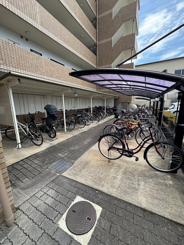 グレースダイン その他