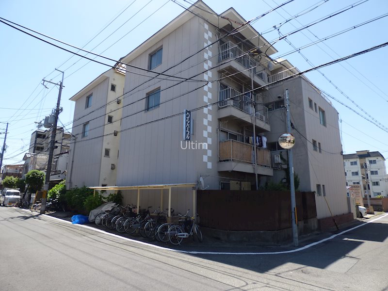 ハイツパープル 外観