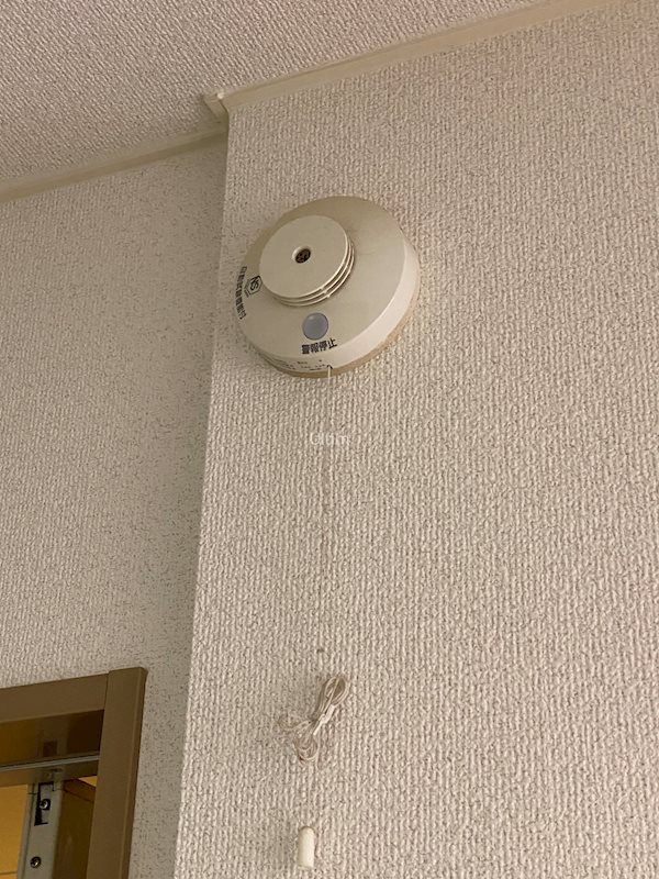 コージーハイツ その他
