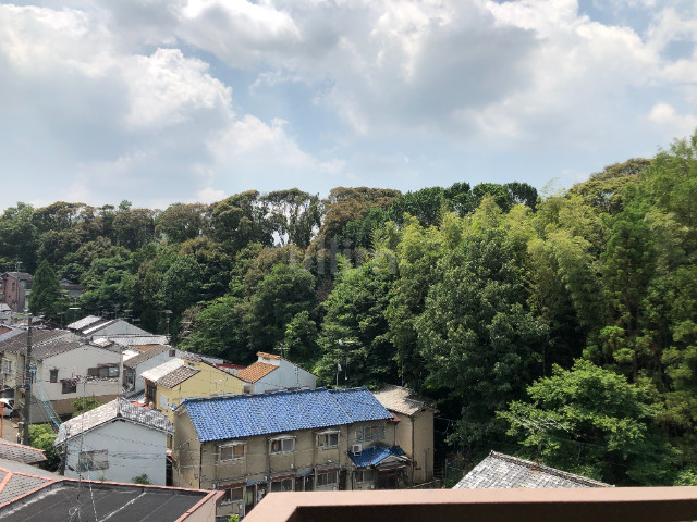 泉涌寺アビタシオン 眺望