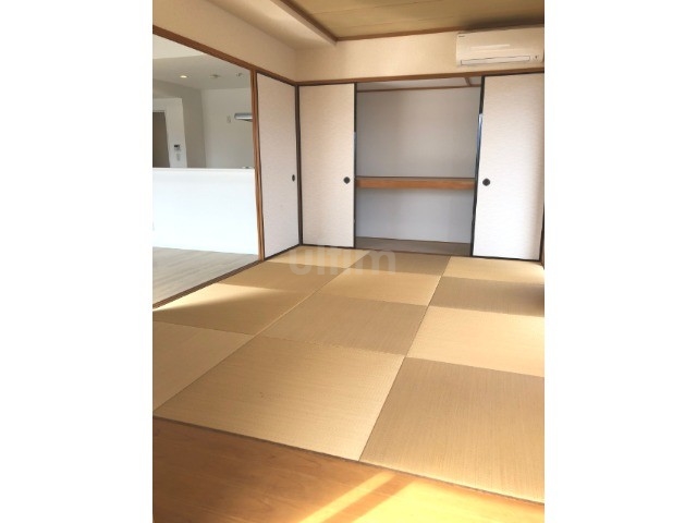 ジョンソンパーク その他