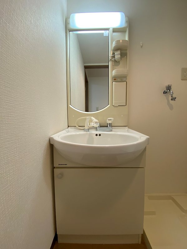 エクセタコート 洗面所