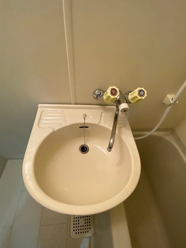 メゾンセザンヌ 洗面所