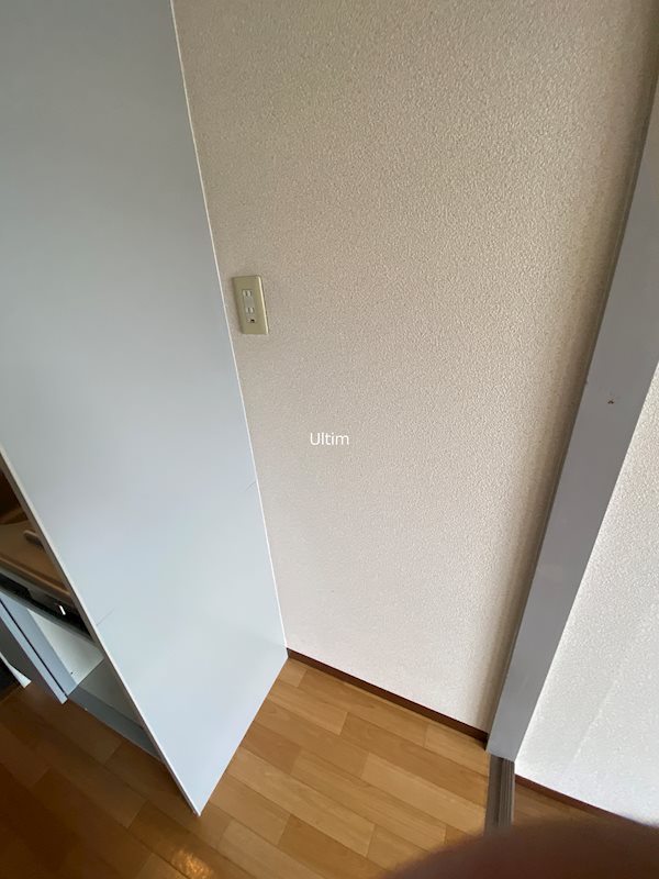 コリンノルド その他