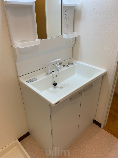 アマデウス西洞院 洗面所