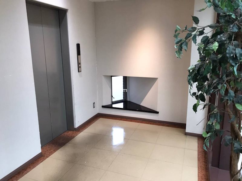 市川ビル その他