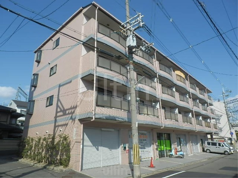 ポインセチア 外観