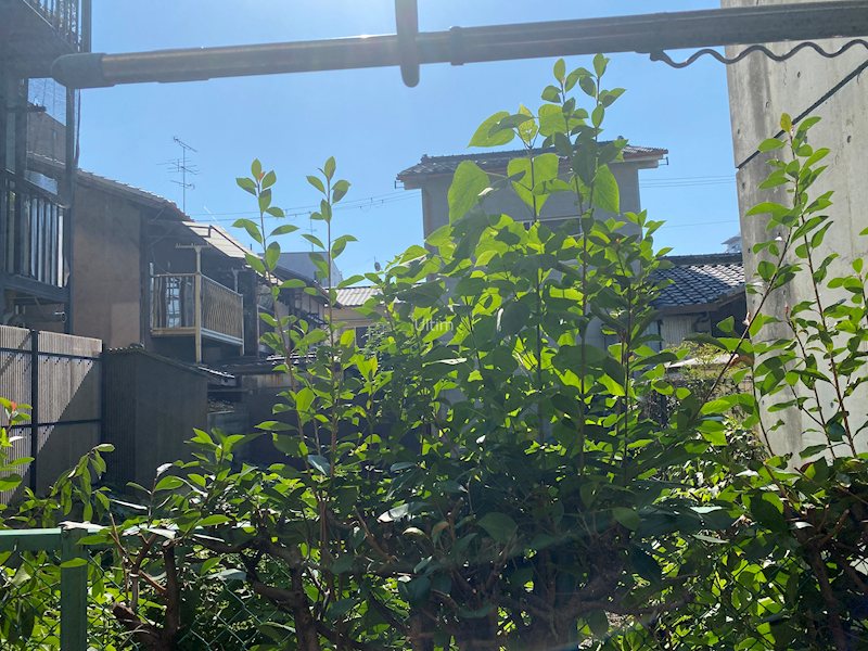 ランブラス西院 眺望