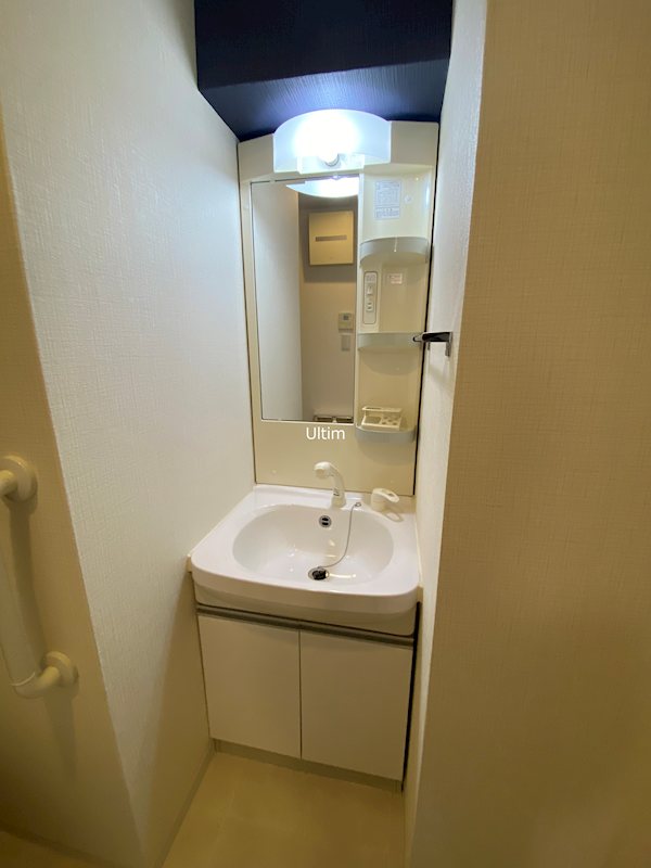 アルビオン 洗面所