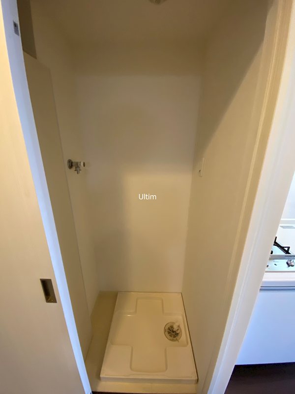 アルビオン その他