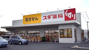 レ･タン・ドゥ・ラ・メールCKⅣ ドラッグストア