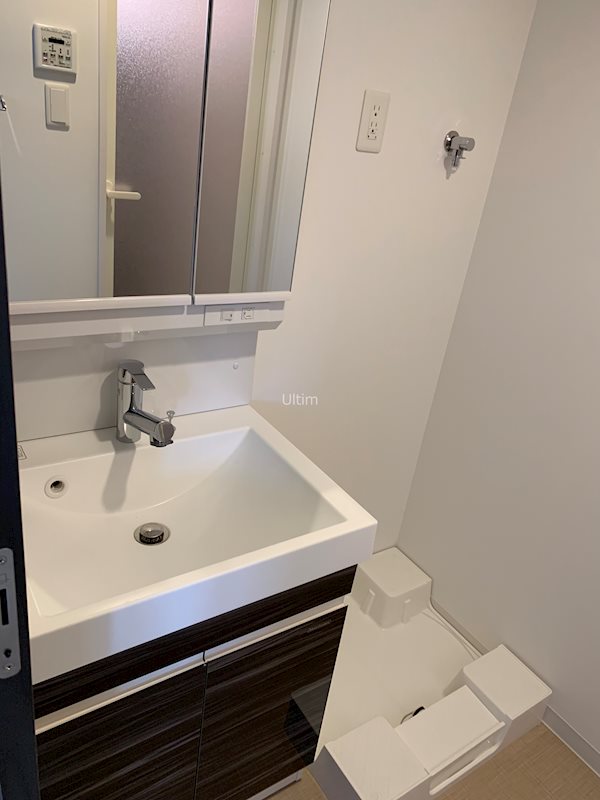 ベラジオ京都西院ウエストシティⅡ 洗面所