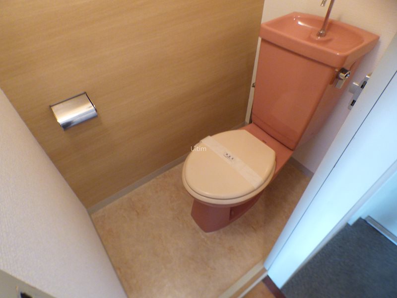 フレーヴァー深草Ⅱ トイレ