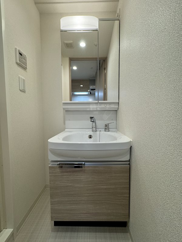 プレサンスTHE KYOTO 粋都 洗面所