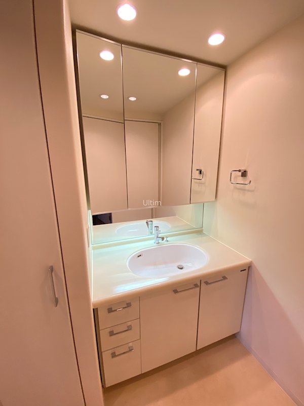 サーパスシティ西院日照町 洗面所