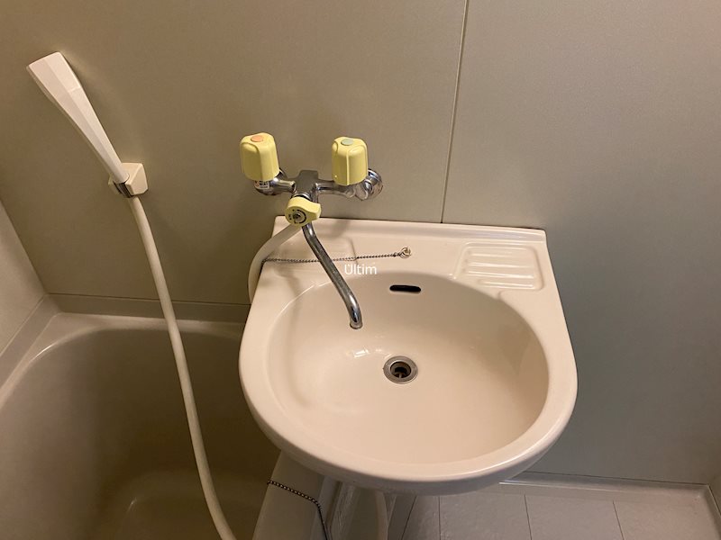 コージーハイツ 洗面所