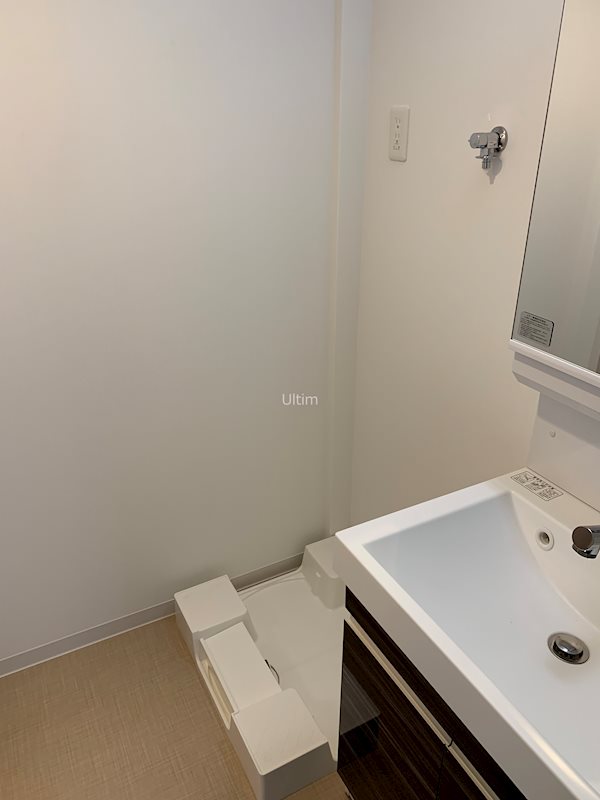 ベラジオ京都西院ウエストシティⅡ 洗面所