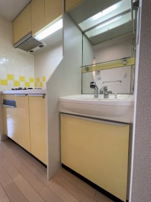 プレサンス桜通り葵 洗面所