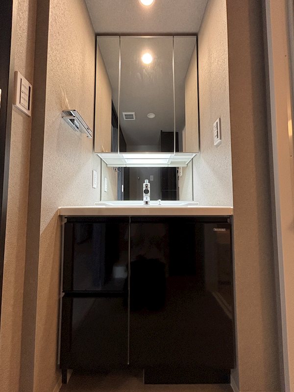 プレサンス　ロジェ　車道駅前SOUTH 洗面所