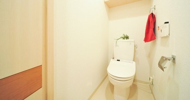 プレサンス泉シティアーク トイレ