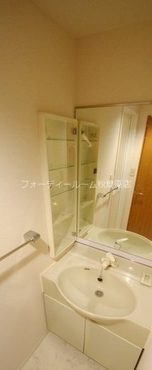 メゾン・ド・ヴィレ神田神保町 洗面所