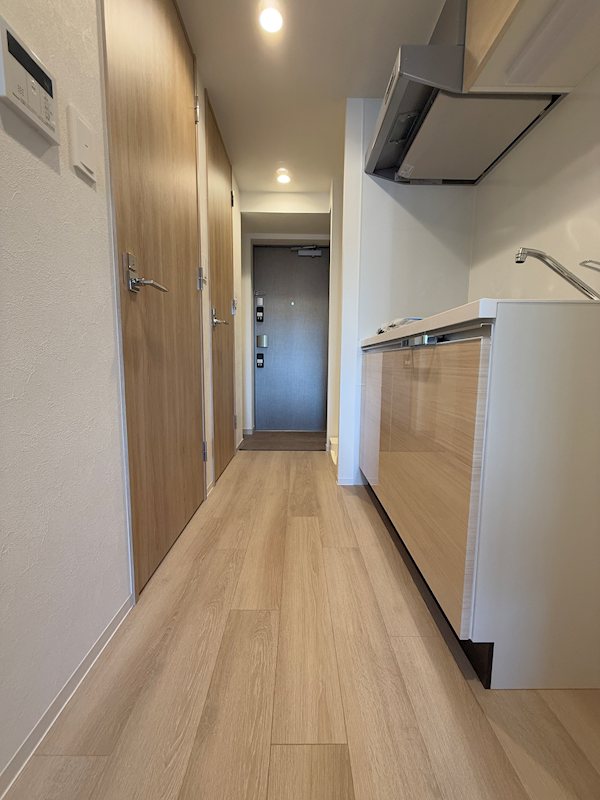 プレサンス名古屋ルクソリア 玄関