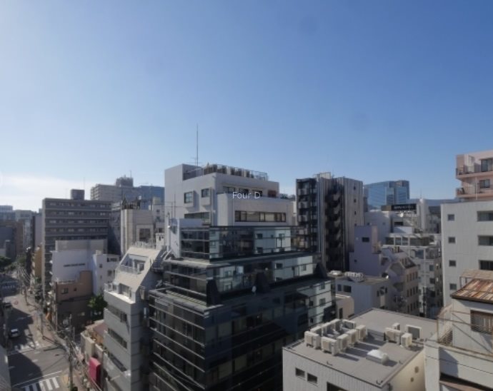 ドゥーエ新富町 眺望