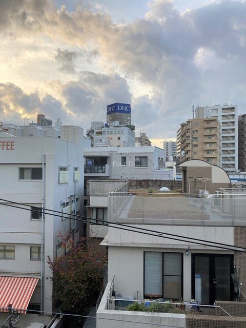 コートレアル三田綱町 眺望