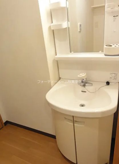 スカイコートヌーベル入谷第2 洗面所