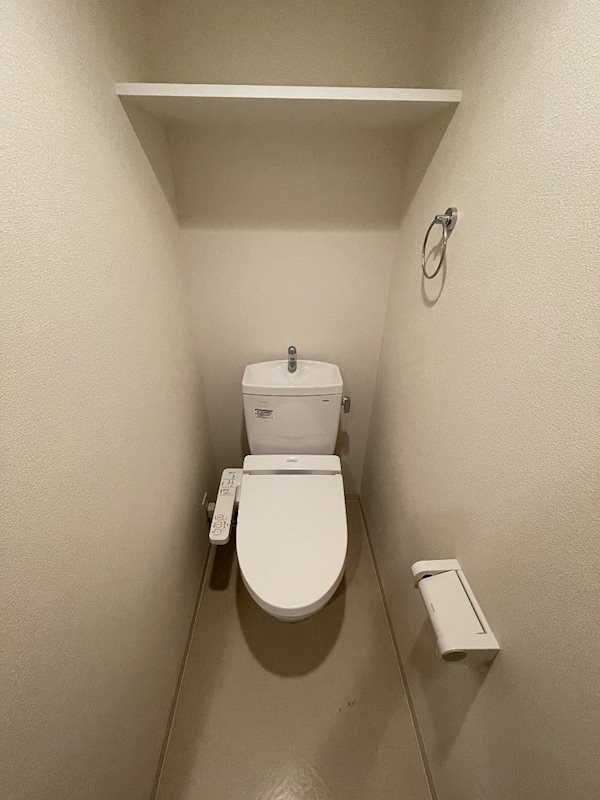 プレサンス丸の内雅風 トイレ