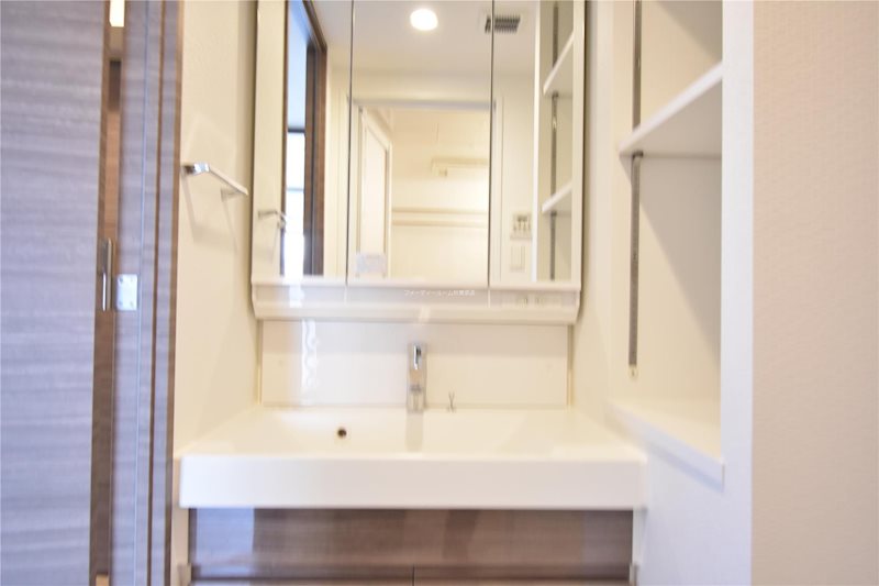 S-RESIDENCE新御徒町West  洗面所
