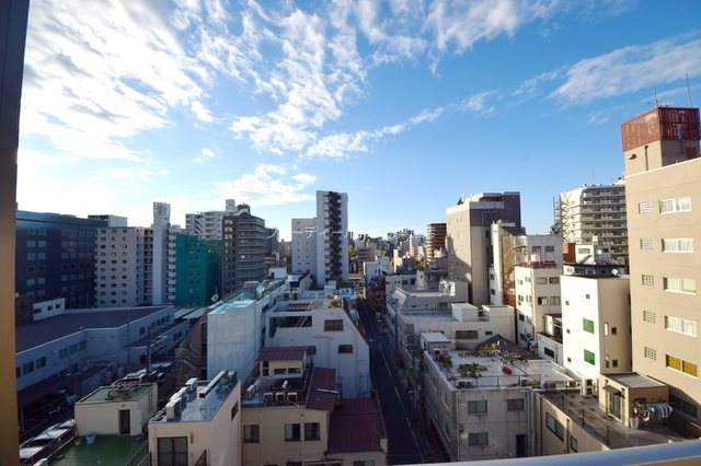 ラヴィーナ北上野 眺望