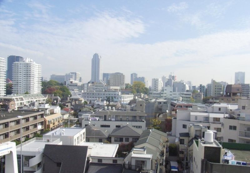トーシンフェニックス南麻布 眺望