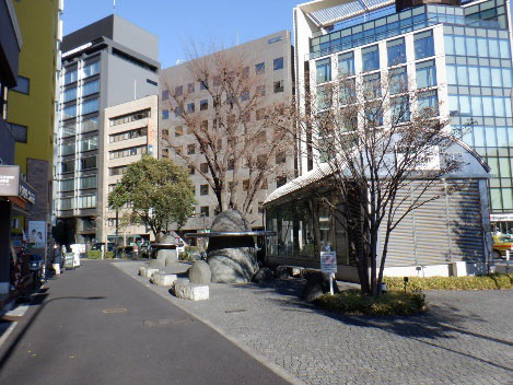 コンシェリア芝公園D’ｓ 公園