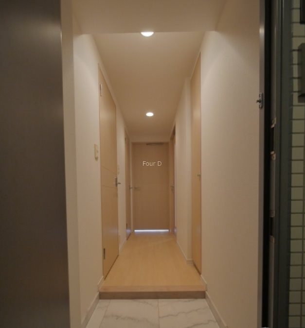 ドゥーエ新富町 玄関