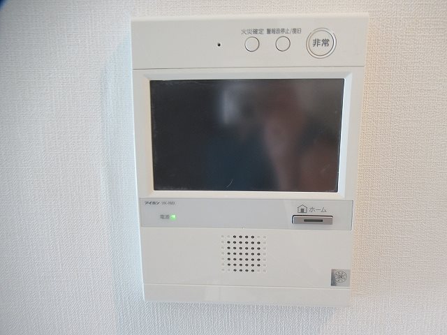 ＡＲＴＥＳＳＩＭＯ ＳＩＲＩＵＳ その他4