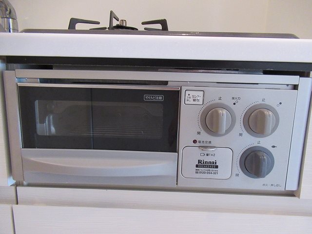 ＡＲＴＥＳＳＩＭＯ ＳＩＲＩＵＳ その他5