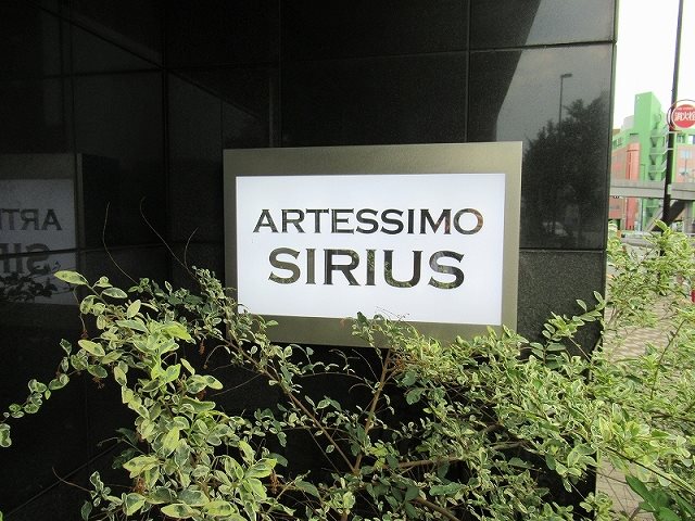 ＡＲＴＥＳＳＩＭＯ ＳＩＲＩＵＳ その他外観1
