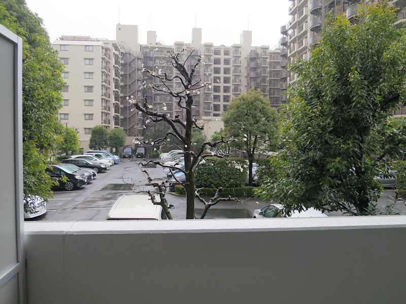 ＭＡＸＩＶ練馬ｎｏｒｔｈ その他6