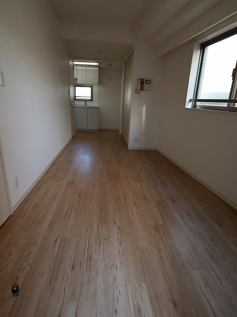 カスタリア新宿御苑 リビング