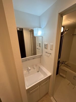 ＧＥＮＯＶＩＡ墨田八広ｓｋｙｇａｒｄｅｎ その他3