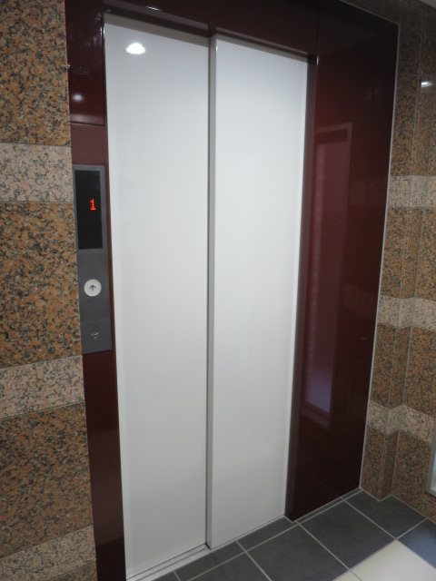 ミルーナリュクス西川口 その他外観5