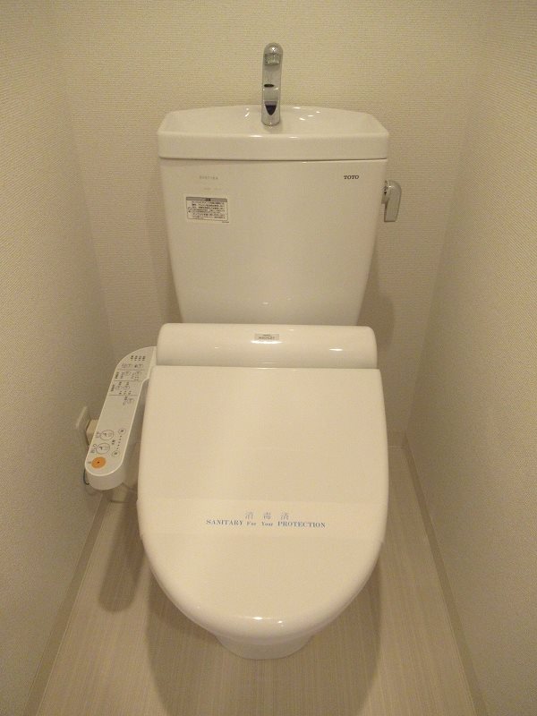 ＡＲＴＥＳＳＩＭＯ ＳＩＲＩＵＳ その他1