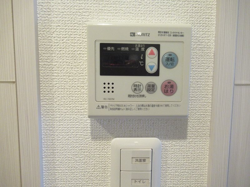 ＡＲＴＥＳＳＩＭＯ ＳＩＲＩＵＳ その他2