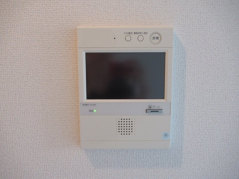 ＡＲＴＥＳＳＩＭＯ ＳＩＲＩＵＳ その他4