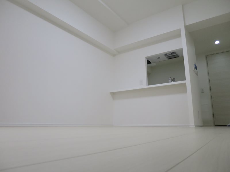 ブライズ蒲田ＳＯＵＴＨ リビング