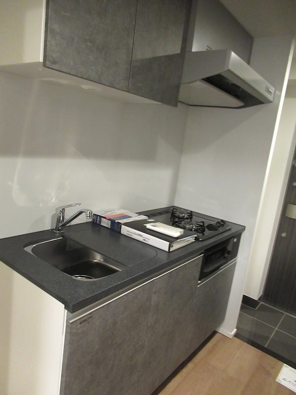 ＭＡＸＩＶ武蔵新城 キッチン