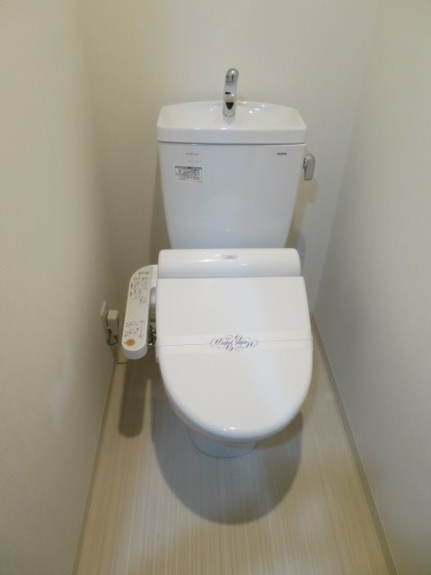 ＡＲＴＥＳＳＩＭＯ ＳＩＲＩＵＳ その他2